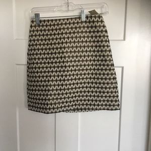 Ann Taylor Loft Skirt
